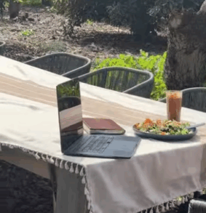 laptop setup in orchard with lunch and latte